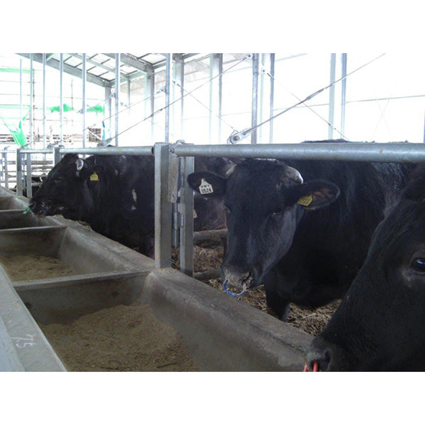 【伊賀牛】リブロース芯ステーキ (180g×5枚)【合計900g】