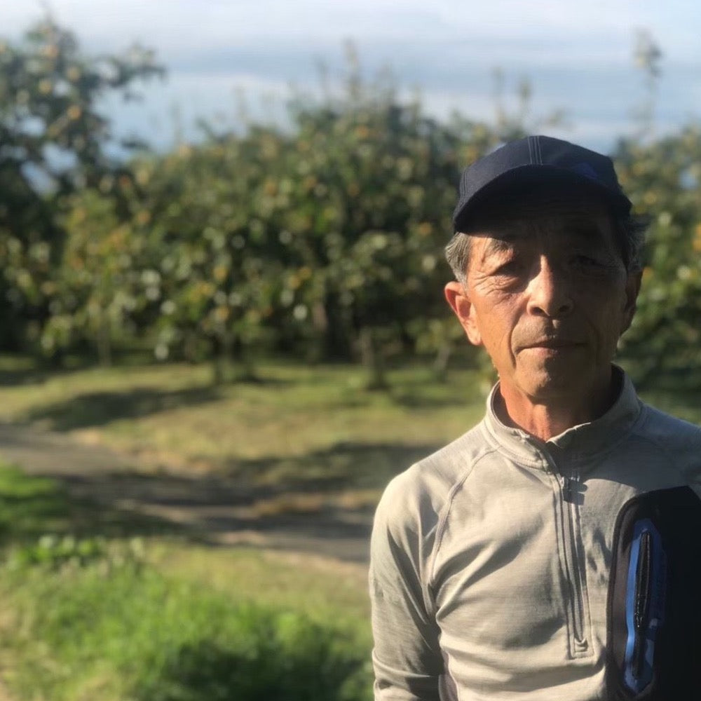 【皇室献上柿】　会津みしらずのあんぽ柿　6個入