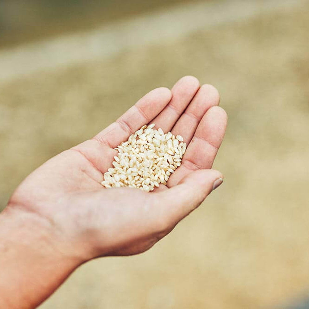 【ギフトカード】玉乃光酒造 純米大吟醸 玉乃光 Black Label 720ml