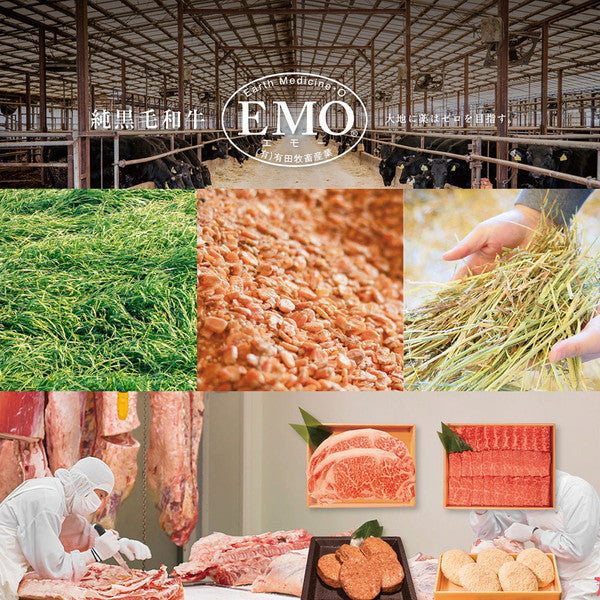 宮崎県産 有田牛 サーロインスライス 800ｇ