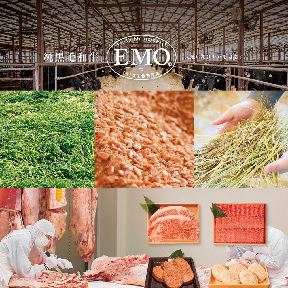 【ギフトカード】宮崎県産　有田牛　リブローススライス　800g