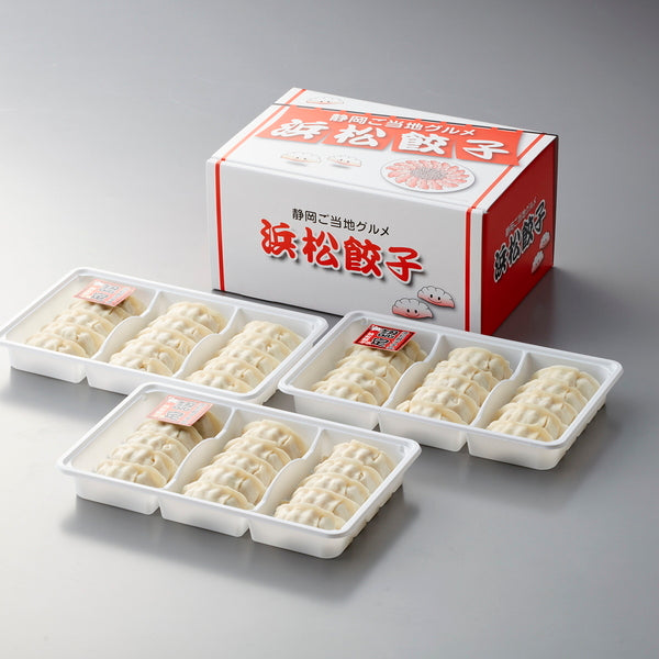 【お歳暮熨斗】静岡Ｂ級グルメ浜松餃子４５粒