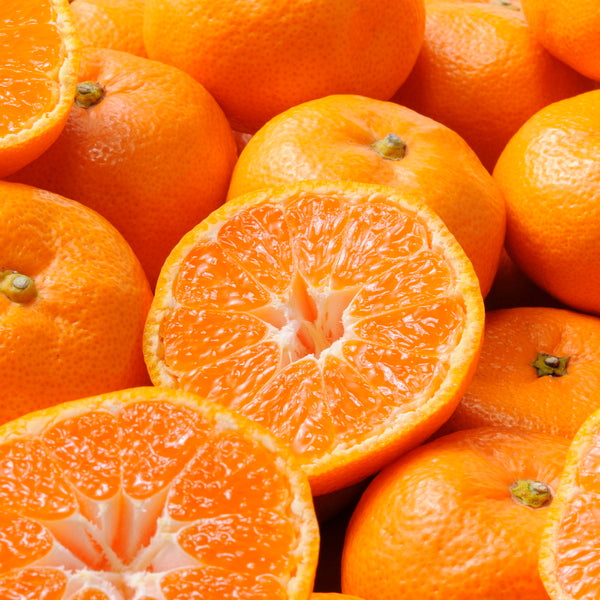 【お歳暮熨斗】和歌山県産　有田みかん［２．５ｋｇ］