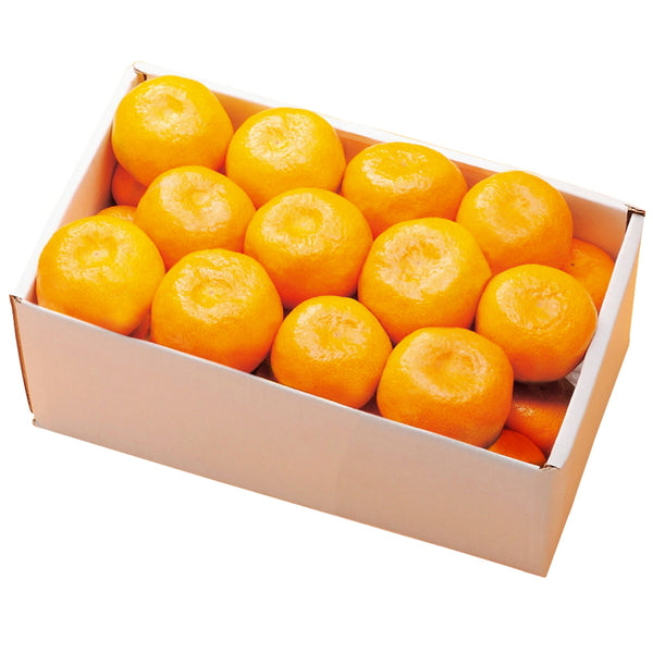 【お歳暮熨斗】和歌山県産　有田みかん［２．５ｋｇ］