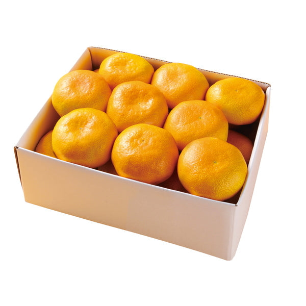 【お歳暮熨斗】愛媛みかん［２ｋｇ］