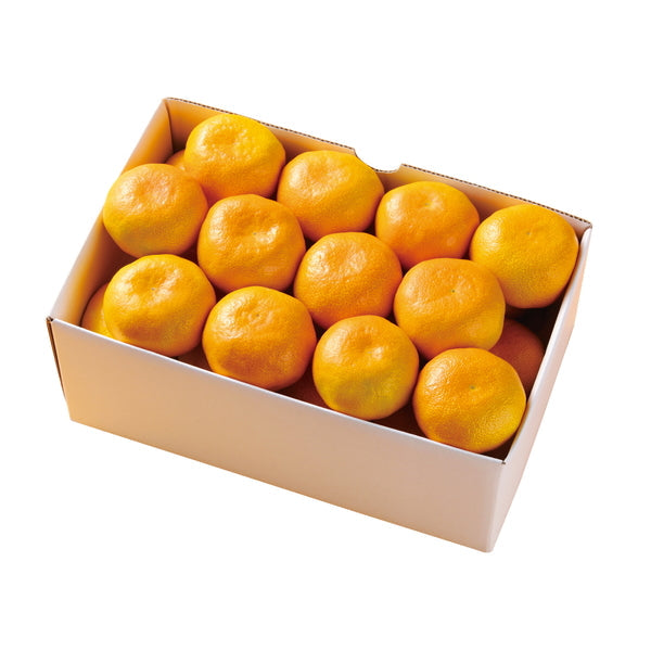 【お歳暮熨斗】愛媛みかん［３ｋｇ］