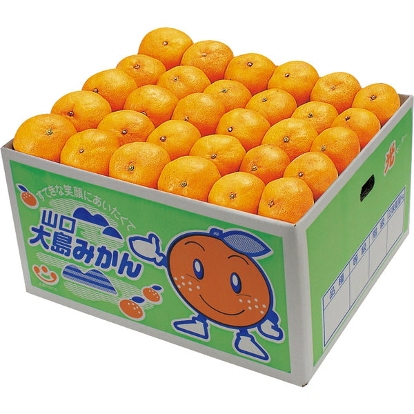 【お歳暮熨斗】山口大島みかん（秀）