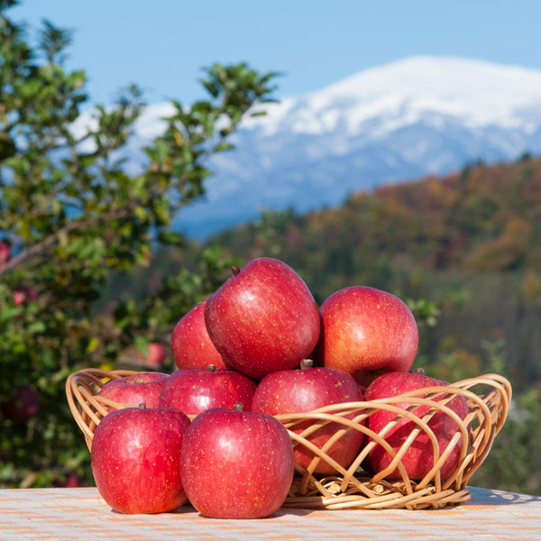 【お歳暮熨斗】いずみ会の山形県産サンふじ［２ｋｇ］