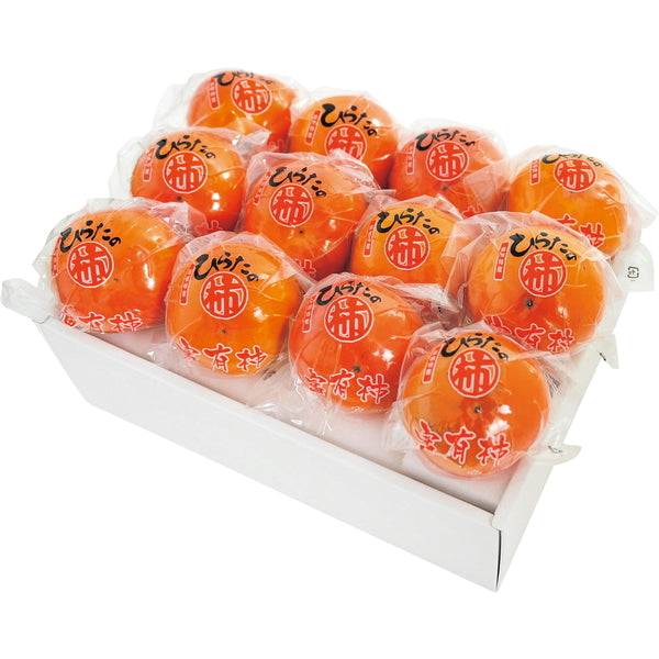 【お歳暮熨斗】ひらたの富有柿（個包装）１２個