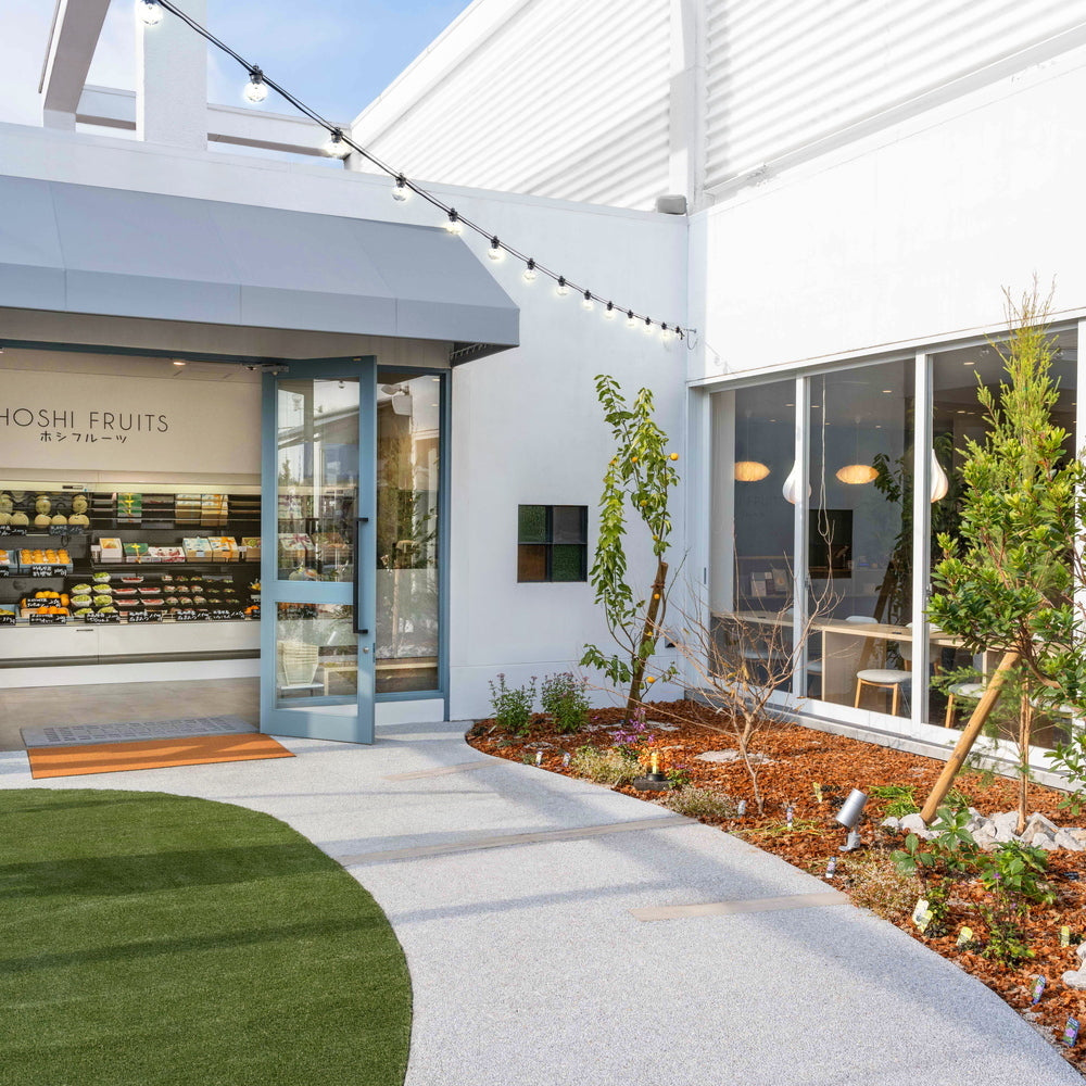 【ギフトカード】ホシフルーツ　あまおうのクリームいちご大福　fuwaru　12個