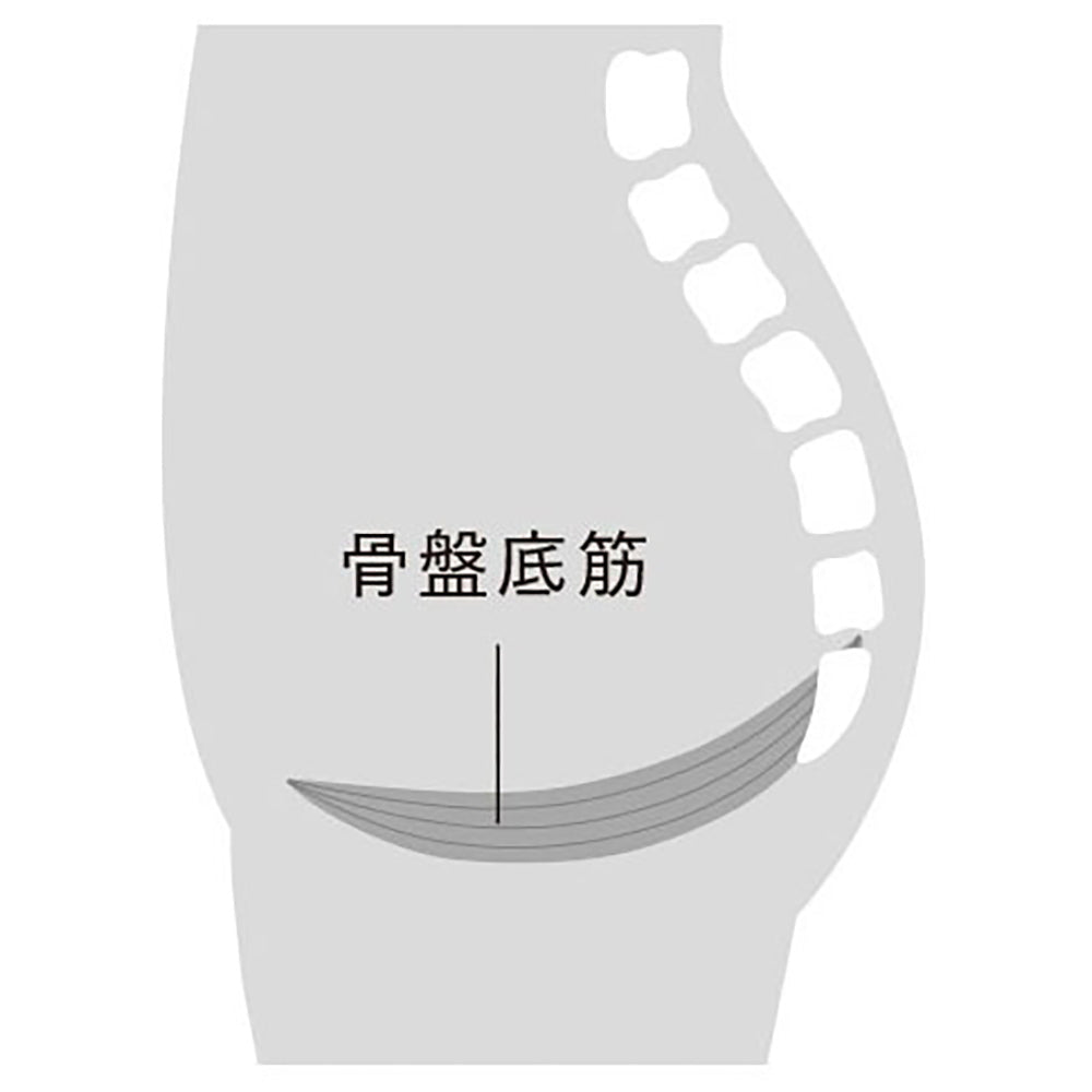 AiMY FEMAIR SWING フェムエア スイング（グレー）