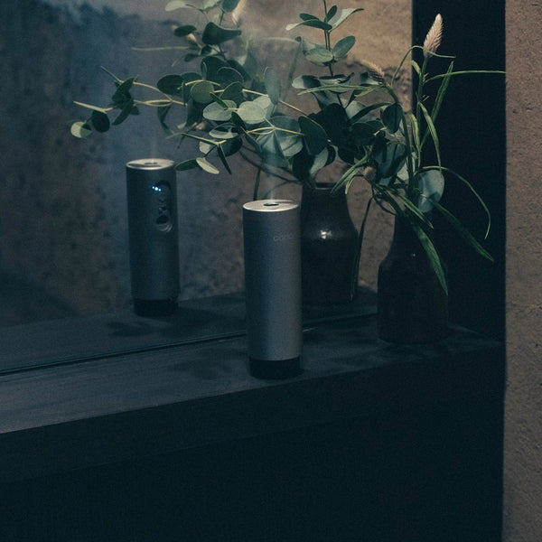 カドー ディフューザー STEM Mini MD-C10-MB