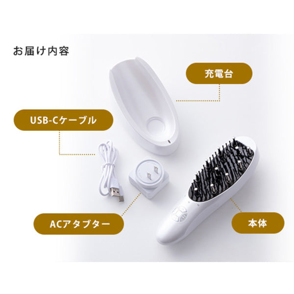 アデランス　DoRAISE(ドゥライズ)電気リフトブラシ(EMS美顔器)