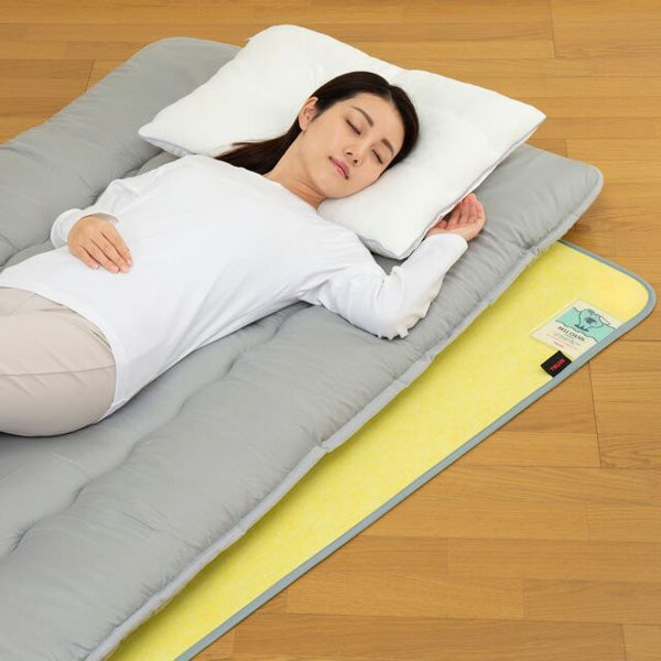 TEIJIN 帝人 Tcomfort 快眠ドライ 高性能除湿マット【ダブル】