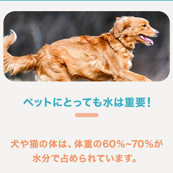 ペットの健康を考えて生まれたペット用天然水 アニマリットル 500ml 18個（1ケース）