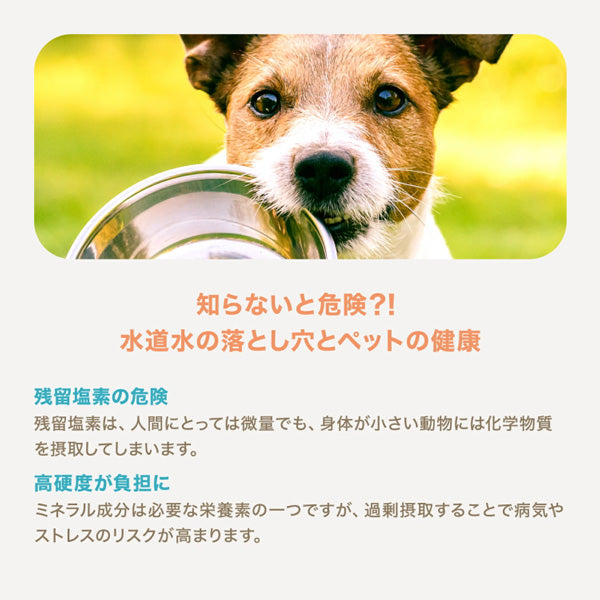 ペットの健康を考えて生まれたペット用天然水 アニマリットル 500ml 18個（1ケース）