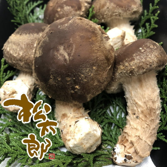 マツタケとシイタケのいいとこどり「松太郎」150g（4本から8本）×2パック