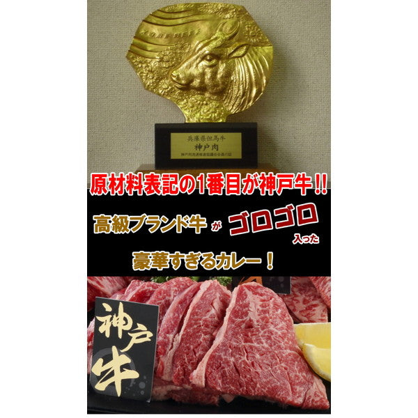 松阪牛・神戸牛カレー食べ比べセット【1人前 各200g】