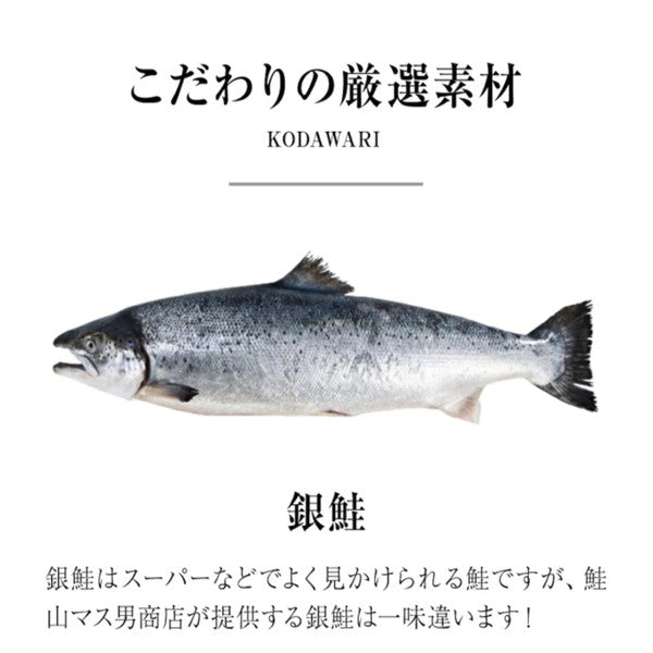 鮭山マス男商店 銀鮭藻塩寒風干し 8切
