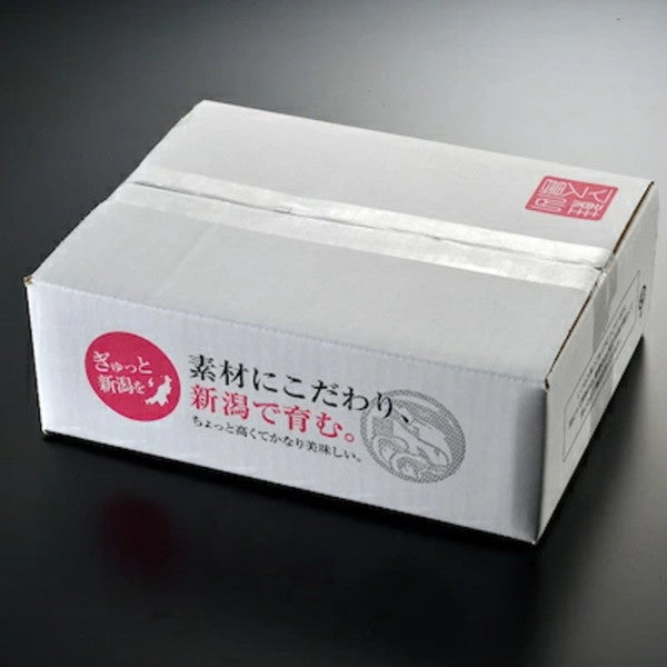 鮭山マス男商店 銀鮭藻塩寒風干し 8切