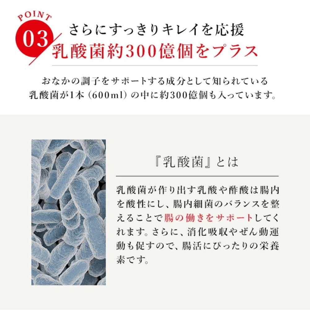 レダの酵素121℃ ナチュラルスリムドゥ 酵素ドリンク 【600mL x 2本】