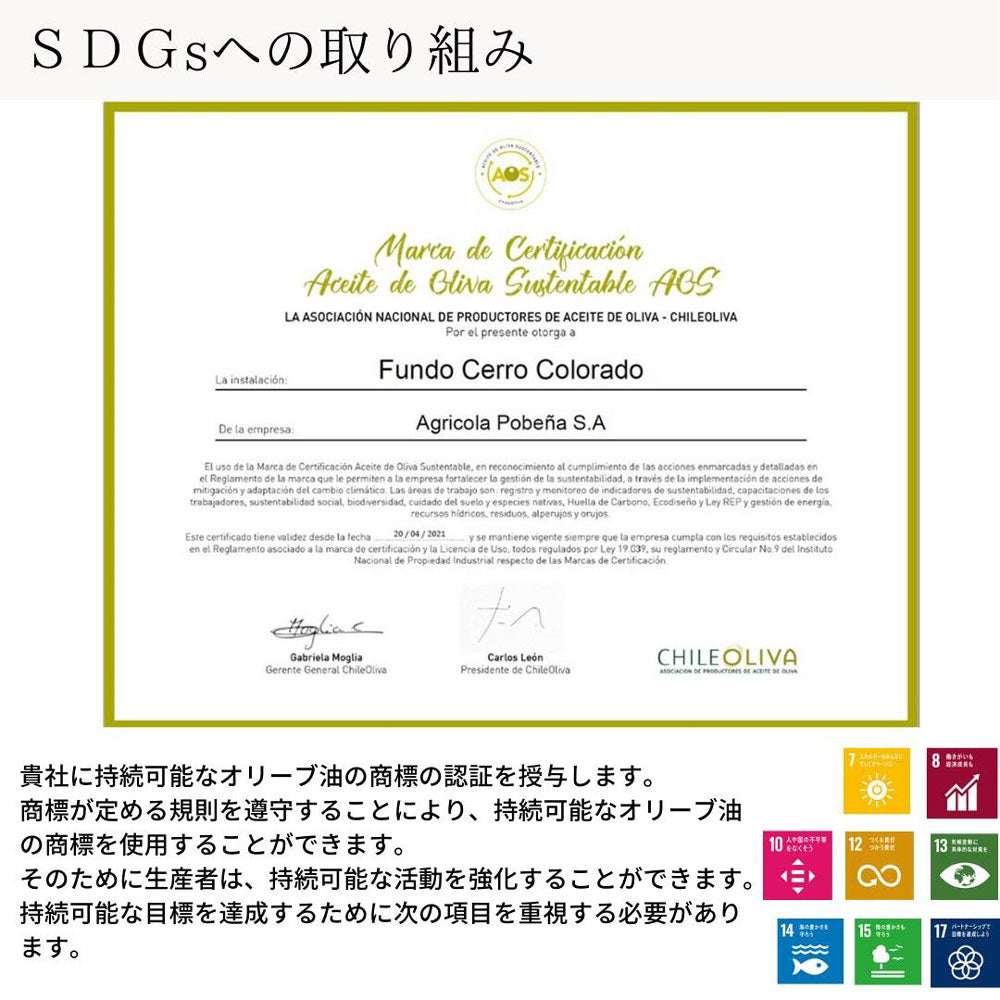 【ギフトカード】【受賞歴多数】ALONSO エクストラヴァージンオリーブオイル 1種(CORATINA)1本