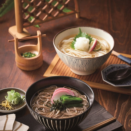 人力うどん 「職人の技」 うどん・そばセット(うどん麺8個・そば麺8個つゆ付)