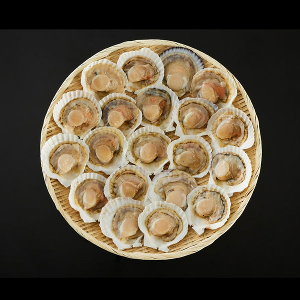 北海道産 帆立片貝 20枚(75g×20)