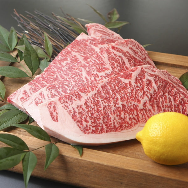 滋賀 「徳志満」 近江牛三昧セット（合計1.45kg)