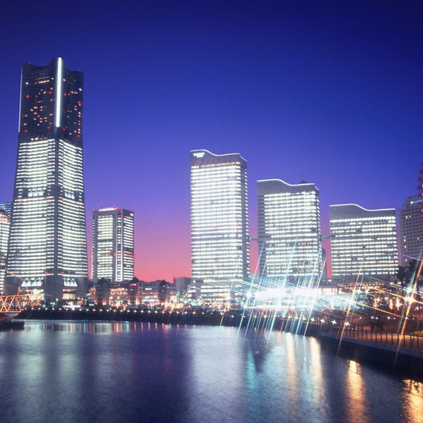 神奈川  「横浜ロイヤルパークホテル」監修 野菜ときのこのハヤシビーフセット(180g×14)