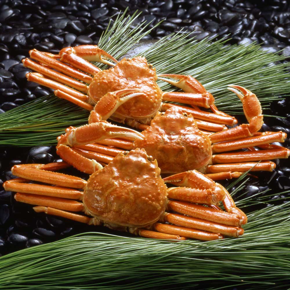 【ギフトカード】ボイルずわいがに姿 600g×3杯（カナダ産）