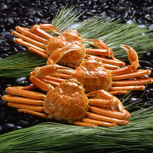 【ギフトカード】ボイルずわいがに姿 600g×3杯（カナダ産）