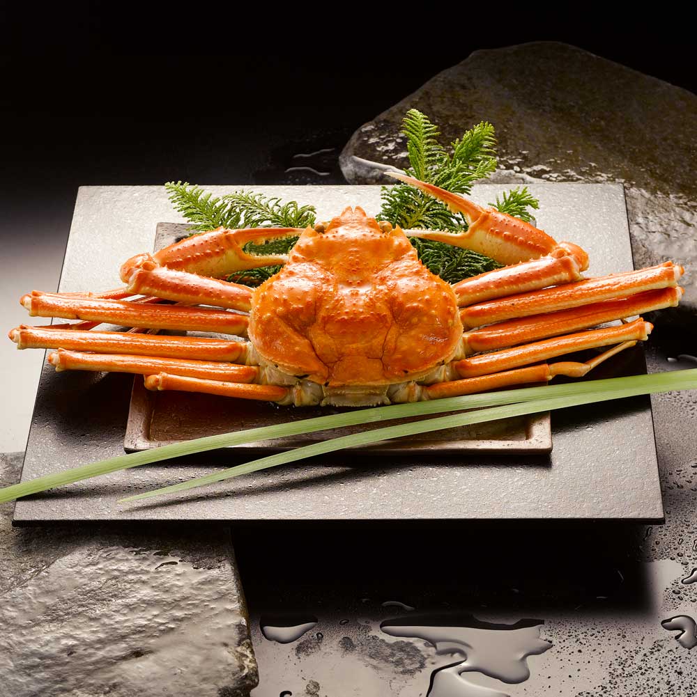 【ギフトカード】ボイルずわいがに姿 750g×1杯