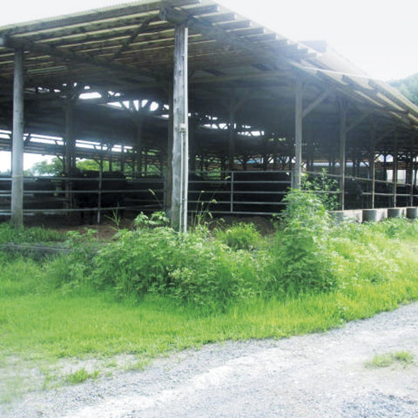 赤城山麓牛 すき焼用（肩ロース500g）