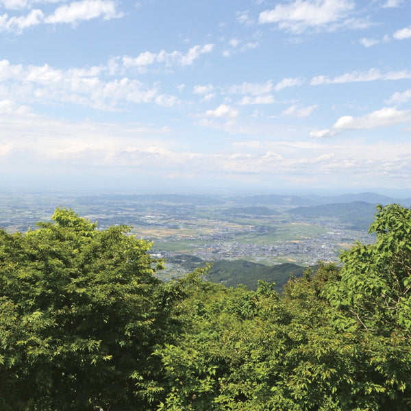 常陸牛 しゃぶしゃぶ用（肩ロース450g）
