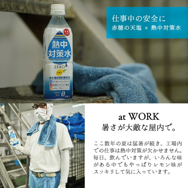 赤穂化成 熱中対策水レモン味 500ml【48本(2ケース)】