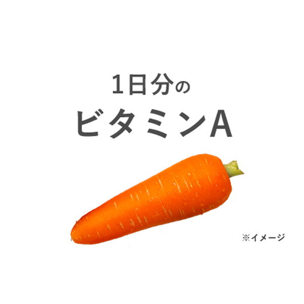伊藤園 自然派ビタミン野菜ジュース 缶【40本(2ケース)】