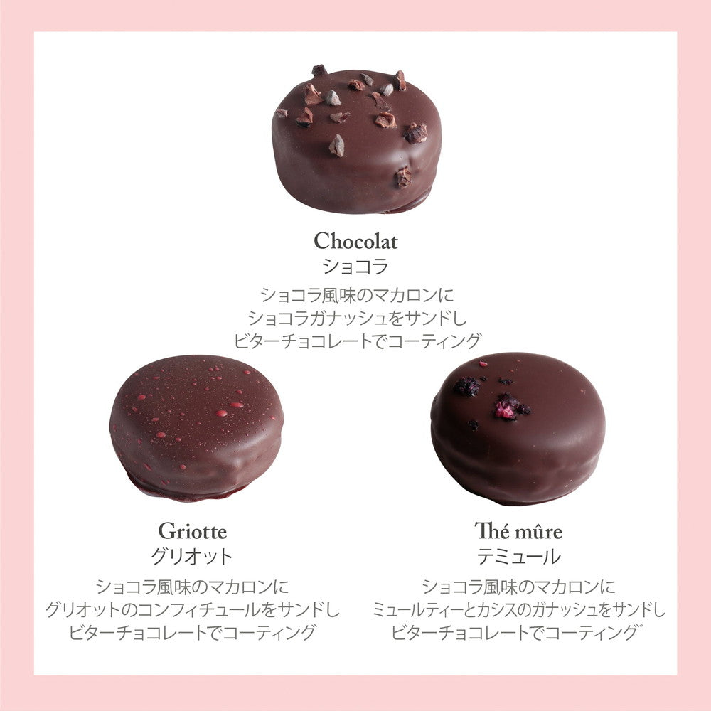 【ギフトカード】セバスチャン・ブイエ マカリヨン 6個