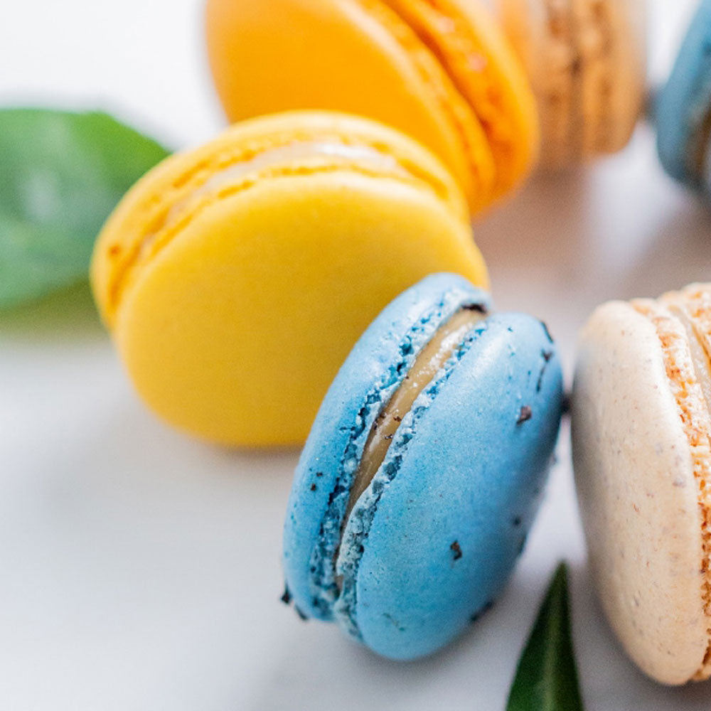 【ギフトカード】LADUREE（ラデュレ）トレジャーボックス スペシャルアソート