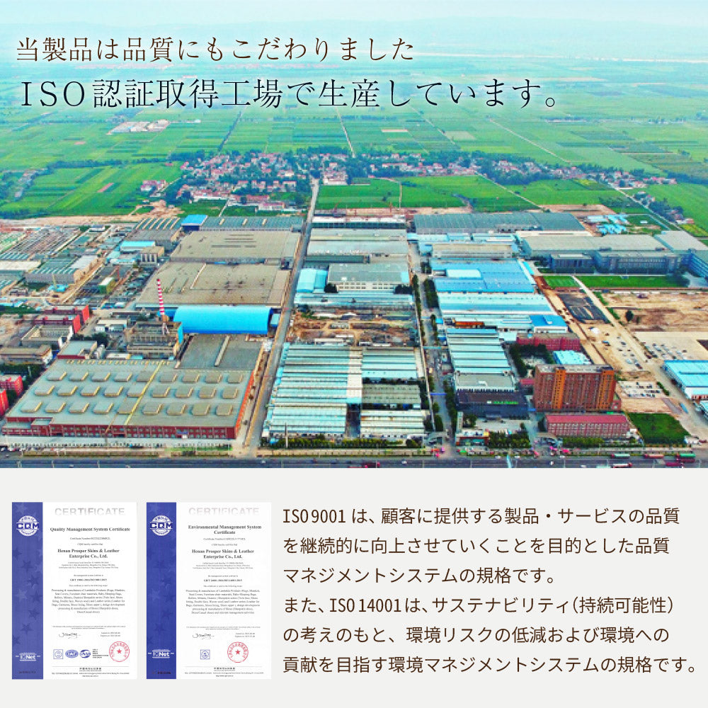 洗える 長毛 ムートンラグ 1匹サイズ　グレージュ