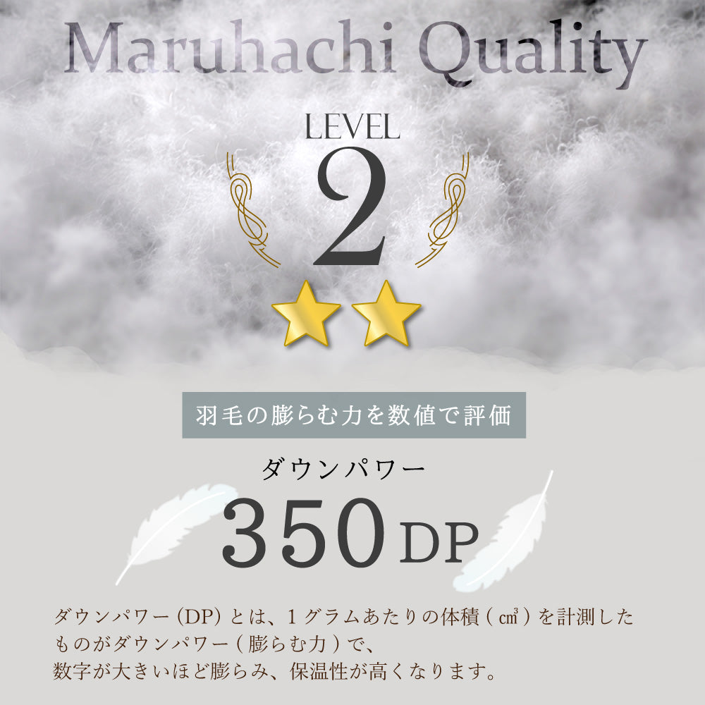 ハンガリー産ホワイトダックダウン85％ 羽毛肌掛け布団 シングル ブルー
