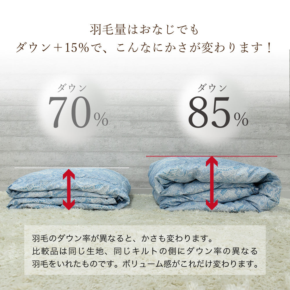 ハンガリー産ホワイトダックダウン85％ 羽毛肌掛け布団 ダブル ブルー