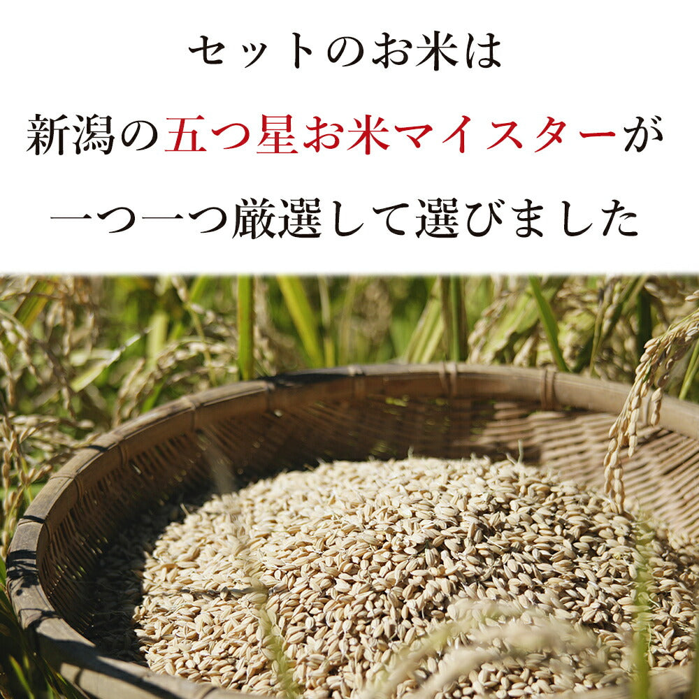 五つ星マイスター厳選・新潟こしひかり味わいギフト（4合）