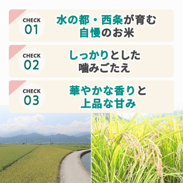 愛媛県西条市産ひめの凜10kg（5kg×2袋）