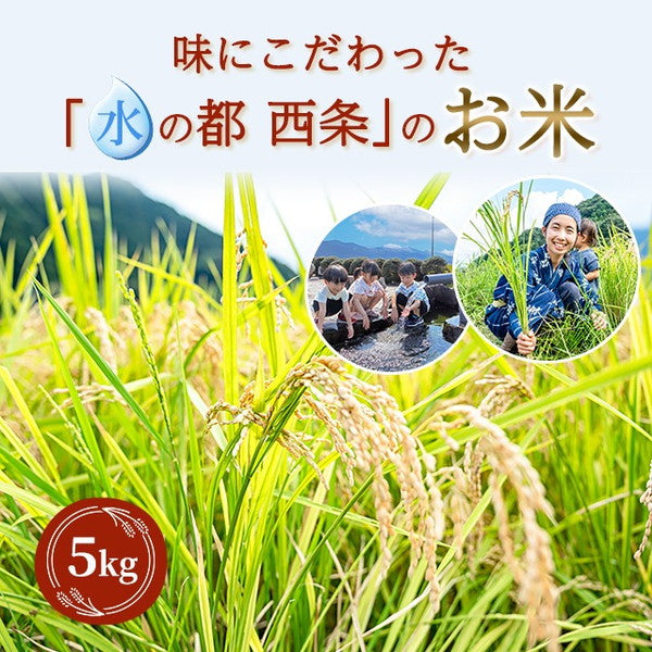 愛媛県西条市産ひめの凜30kg（5kg×6袋）