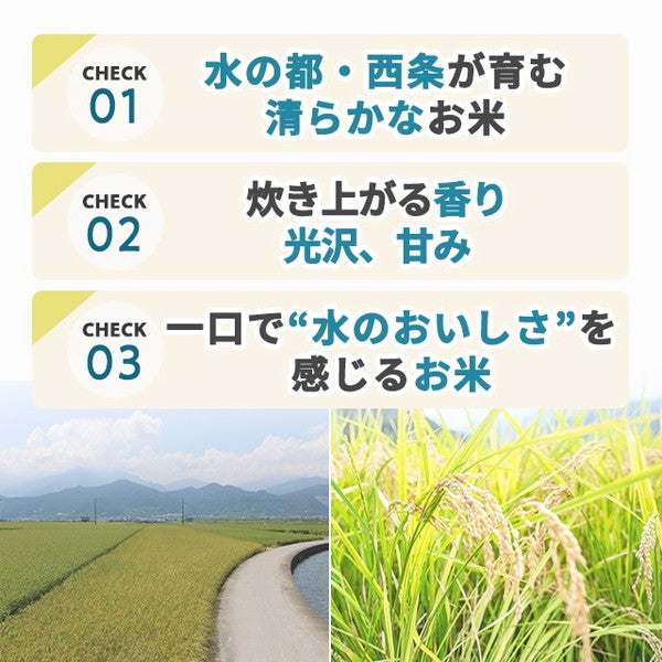 愛媛県西条市産水の都米10kg（5kg×2袋）