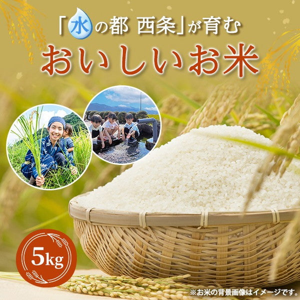 愛媛県西条市産水の都米20kg（5kg×4袋）