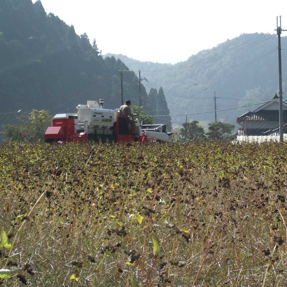 夜久野かすみ　そば三昧セットＢ【乾麺・霧ノ蕎麦茶・玄そばご飯の素】