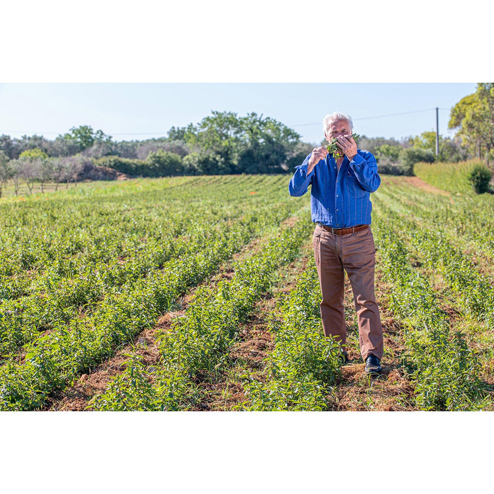 ハーブスピリッツ　ギフトセット【2種 x 500ml】