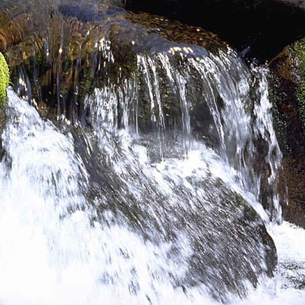 【ギフトカード】FUJI PREMIUM BREWING　 ラガー・ホワイト飲み比べセット(2本)